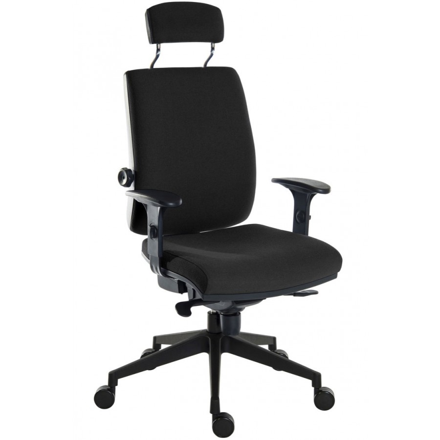 Ergo Plus Fabric Posture Office Chair with Nylon Base